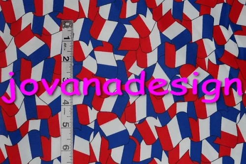 Flag France.webp