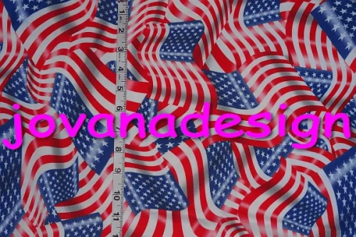 Flag USA.webp