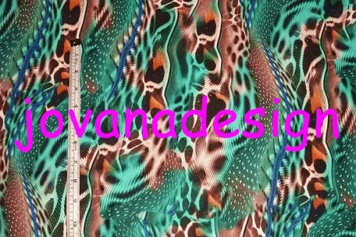 Jungle.webp