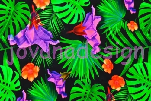 Monstera Leaves.webp