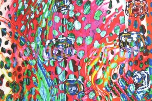 Multi Paint not available.webp