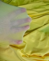 Yellow Hi Stretch.jpg